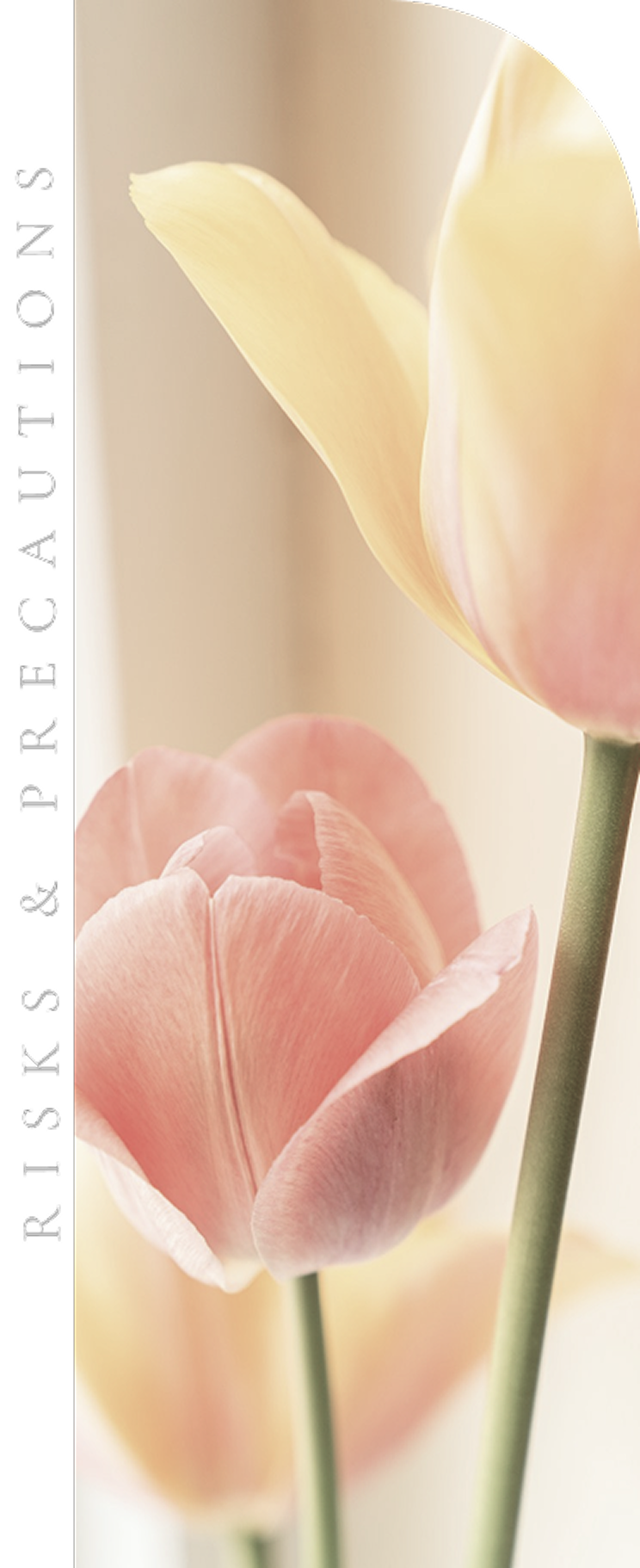 歯科医師が患者に説明している様子の画像で、患者は安心した表情で話を聞いている